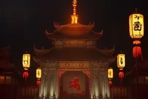 《候鸟归途》剧集封面：湿地拍摄的候鸟群